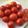 Poranek Tomato Seeds