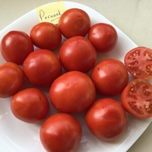 Poranek Tomato Seeds