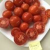 Gnom Tomato Seeds