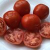 Ostravske Tomato Seeds