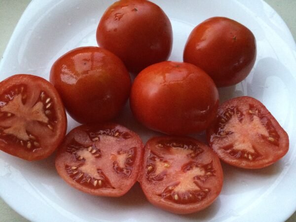 Ostravske Tomato Seeds