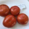 Shchelkovskiy Ranniy Tomato Seeds