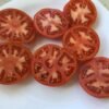 Shchelkovskiy Ranniy Tomato Seeds