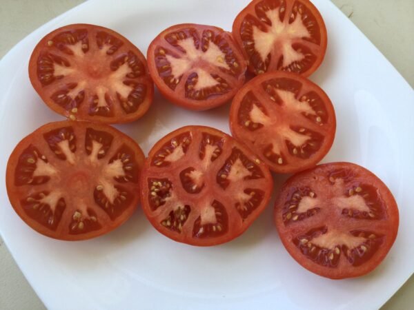 Shchelkovskiy Ranniy Tomato Seeds