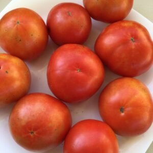 Shchelkovskiy Ranniy Tomato Seeds