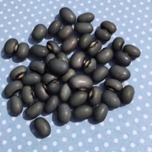 Blue Spitball Pole Bean Seeds